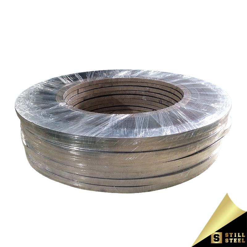 304 Stainless Steel Strip