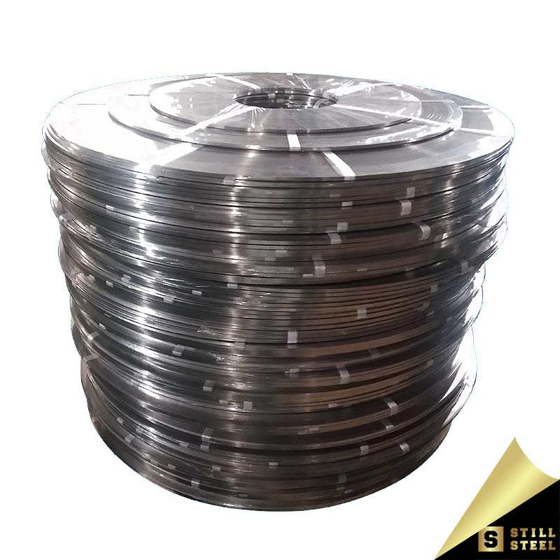 316 Stainless Steel Strip