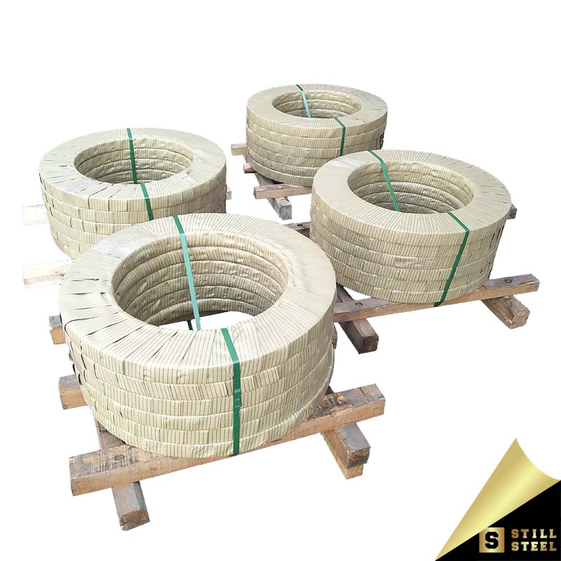 316 Stainless Steel Strip