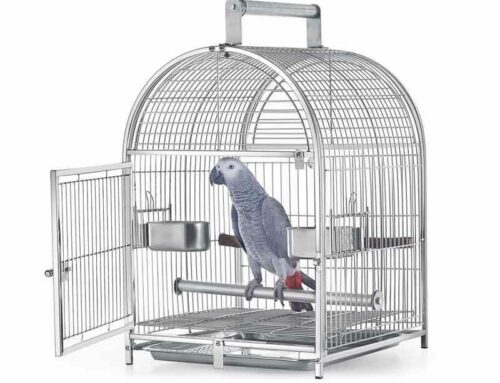 Zinc and its Danger to Parrots